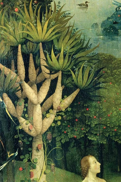 Detail Of The Tree Of Knowledge Of Good And Hieronymus Bosch