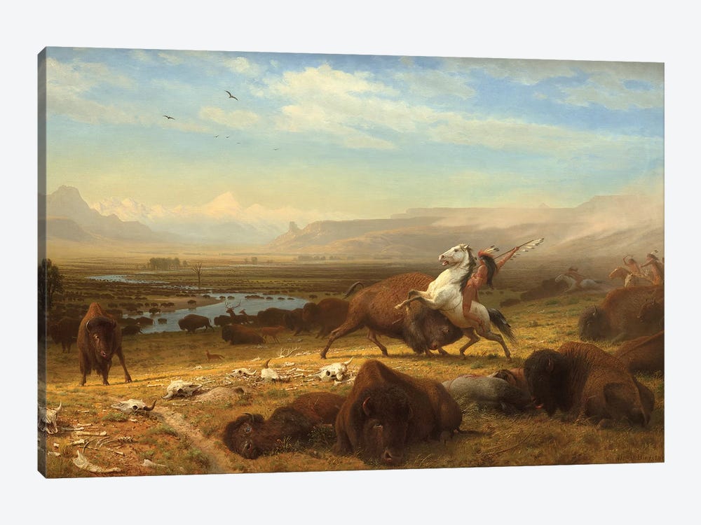 Great oil painting cattles Buffalo drinking in sunset landscape by river canvas