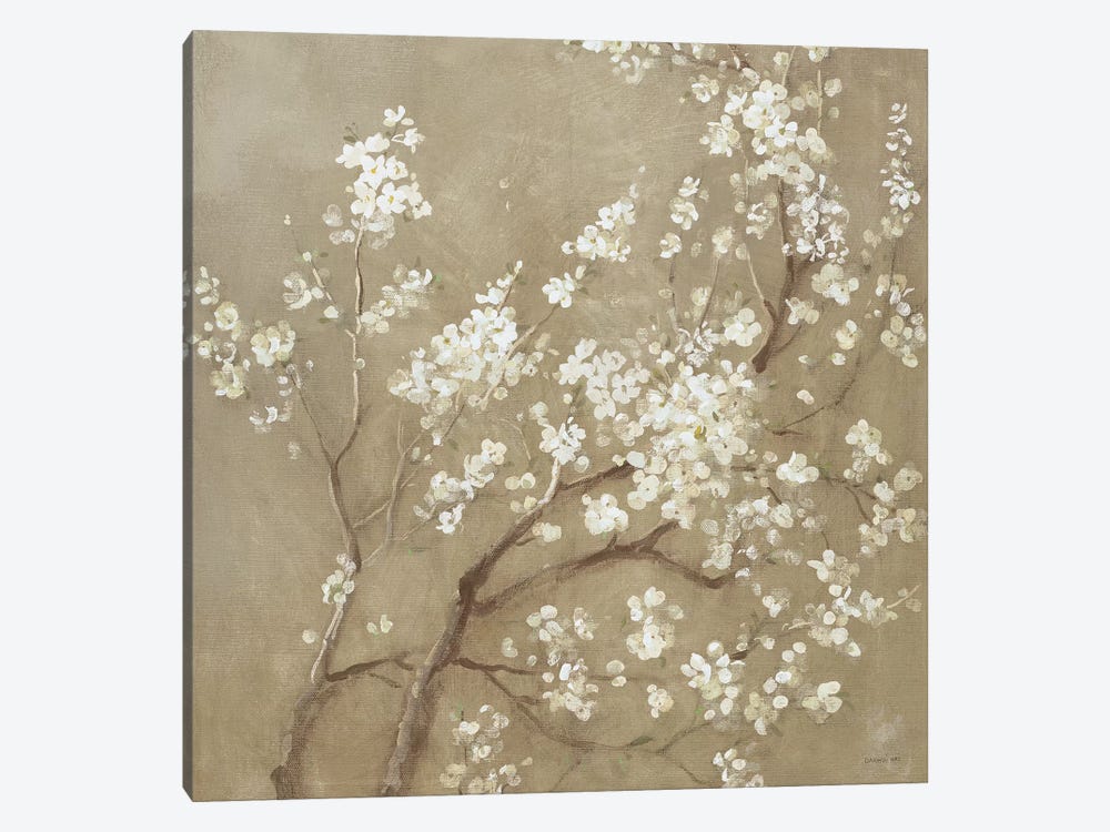 White Cherry Blossoms I Canvas Wall Art By Danhui Nai Icanvas - Cherry Blossom Wall Decor White