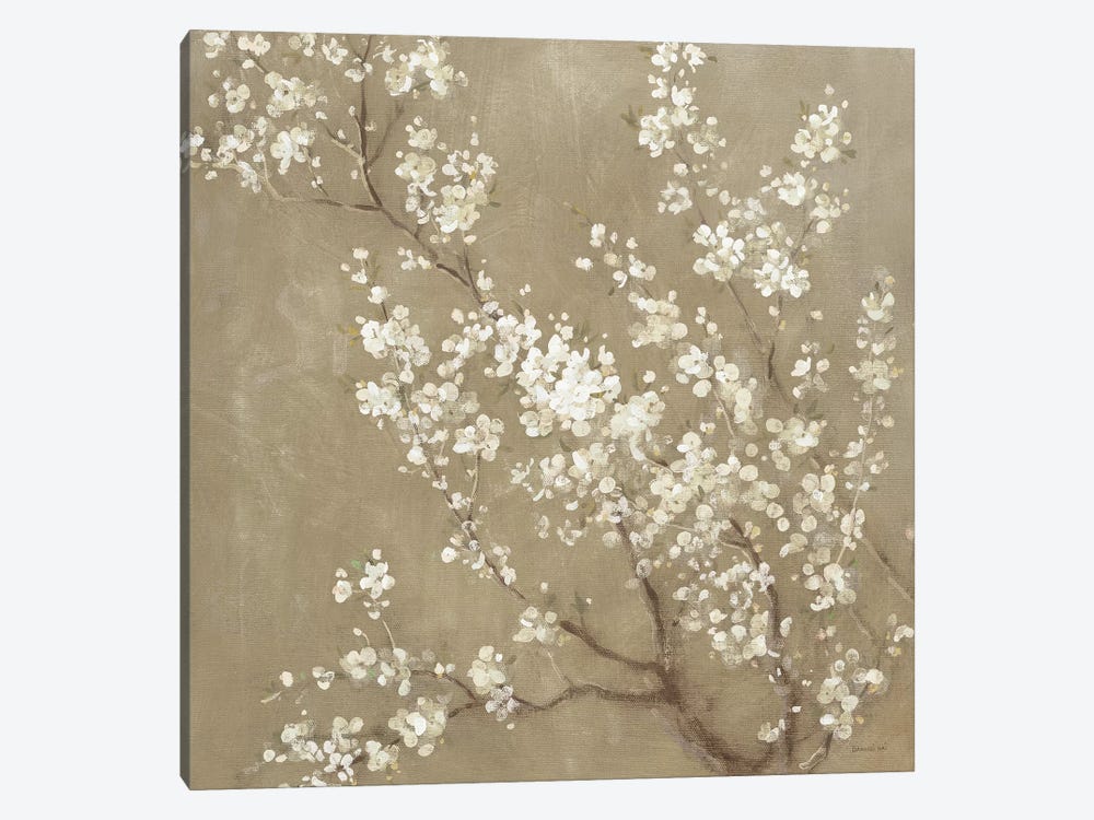 White Cherry Blossoms Ii Canvas Wall Art By Danhui Nai Icanvas - Cherry Blossom Wall Decor White